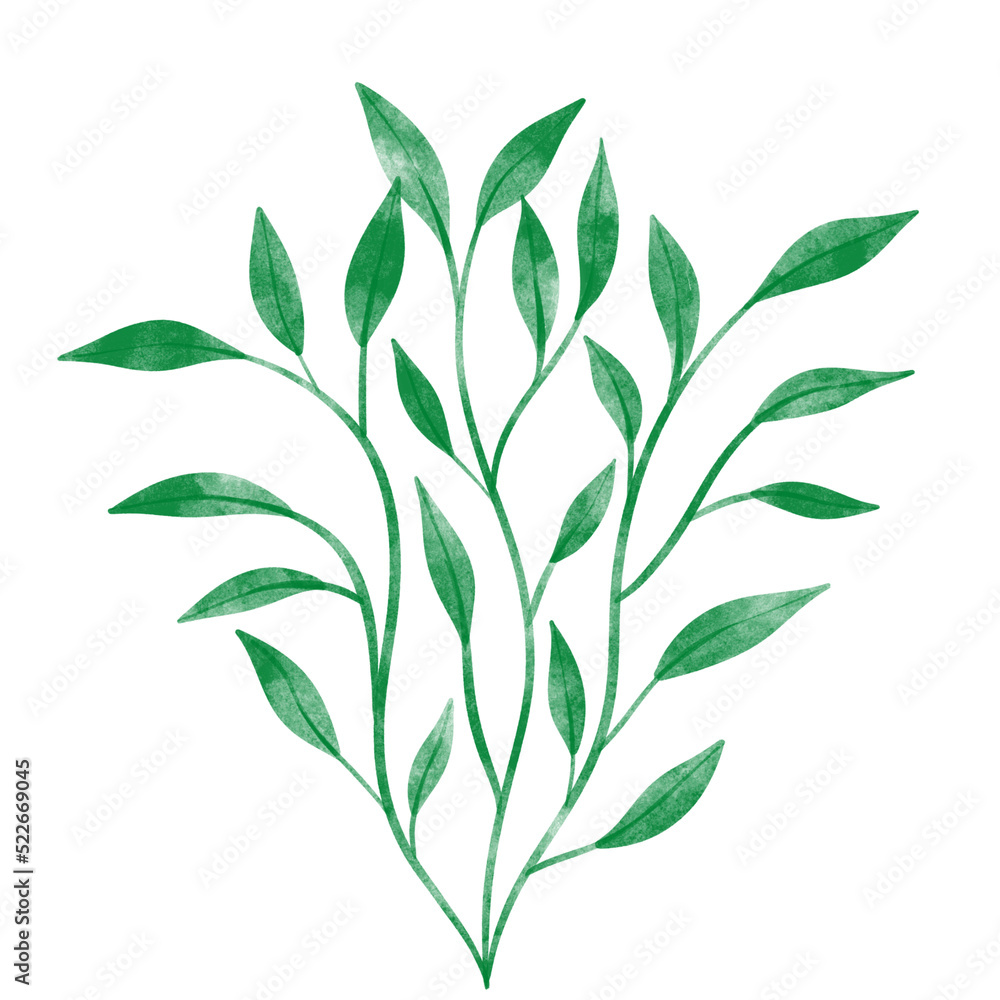 Fototapeta premium leaf in watercolor