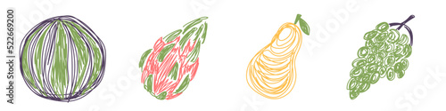 Watermelon, pear, grapes and pitaya. Fruit sketch set. Hand drawn vector illustration. Pen or marker doodle