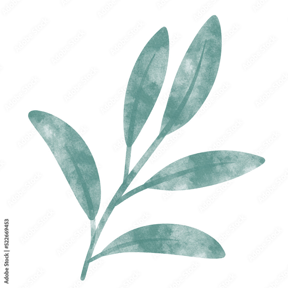 Obraz premium leaf in watercolor