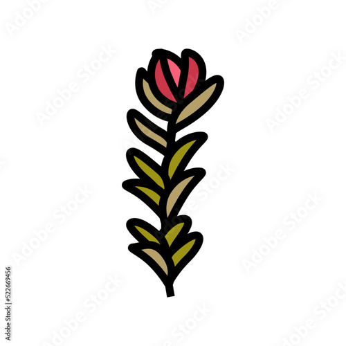 rotala rotundifolia seaweed color icon vector. rotala rotundifolia seaweed sign. isolated symbol illustration