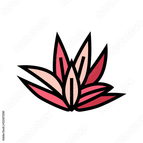 cryptocoryne wendttii color icon vector. cryptocoryne wendttii sign. isolated symbol illustration