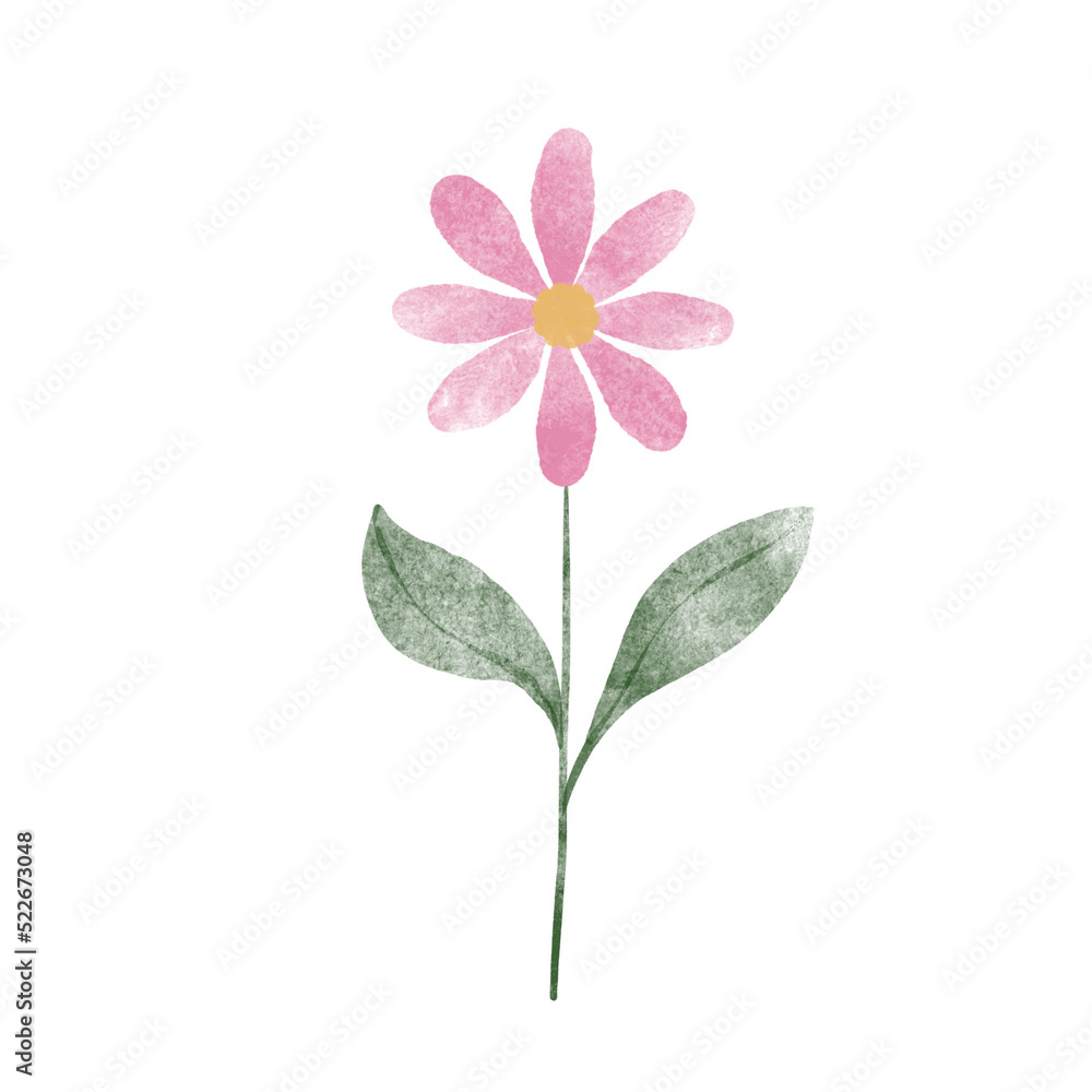 Fototapeta premium flower watercolor 