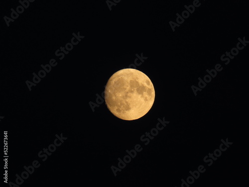 nearly full moon in the night