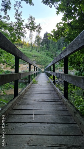 wooden bridge in the forest