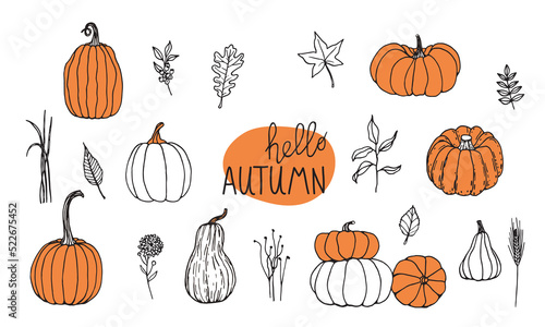 Hand drawn black and white set of pumpkins with twigs grass and leaves. Cartoon outline of vegetables in doodle style. Symbol of autumn harvest and Halloween.