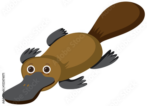 Platypus in flat cartoon style