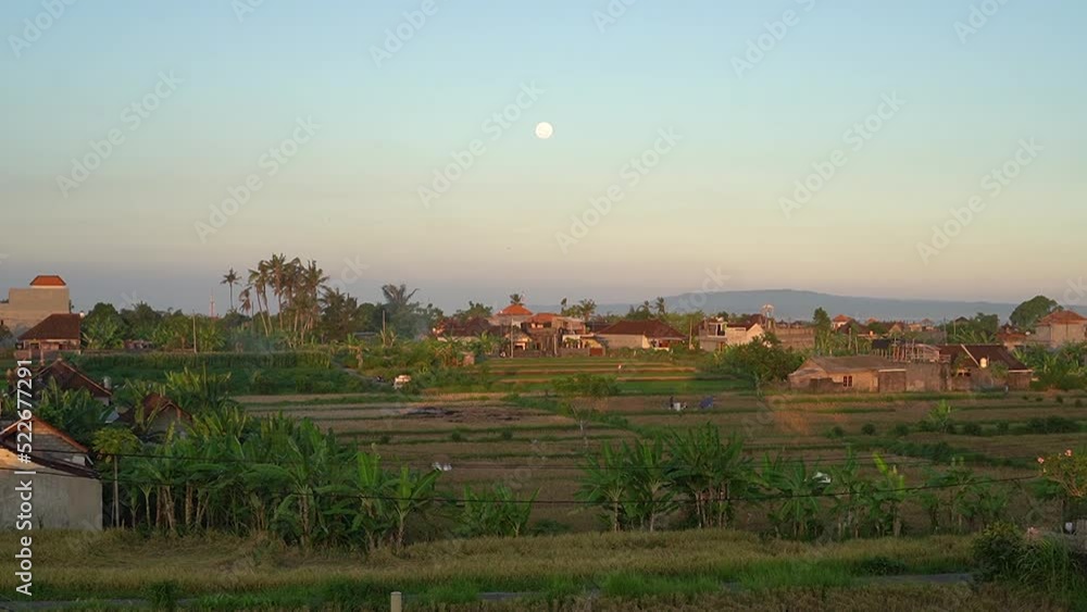 Aerial Drone Fly Above Full Moon Gianyar Bali Ricefield Batubulan Clear Blue Sky Aerial Drone Fly Above Full Moon Gianyar Bali Ricefield Batubulan Clear Blue Sky