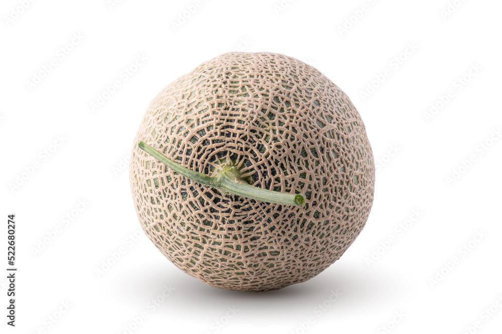 cantaloupe melon isolated on white background. cantaloupe melon isolated on white background.
