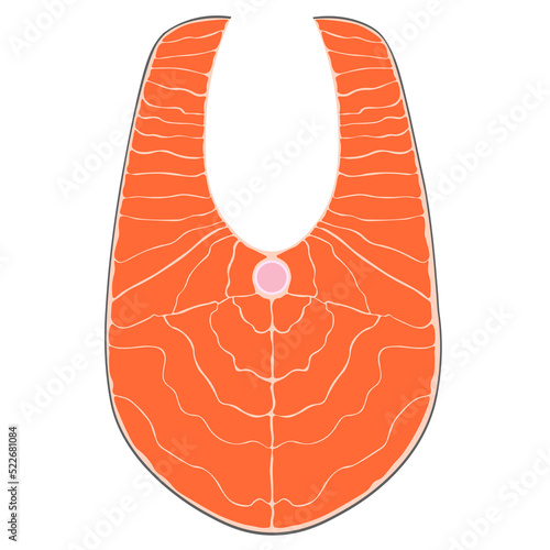 Salmon fish steak. hand drawn illustration isolated on white