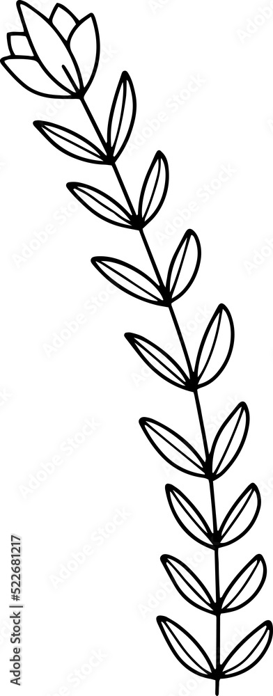 Naklejka premium forest fern eucalyptus art foliage natural leaves herbs inline style. Decorative beauty, elegant illustration