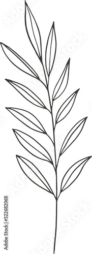 forest fern eucalyptus art foliage natural leaves herbs inline style. Decorative beauty  elegant illustration 