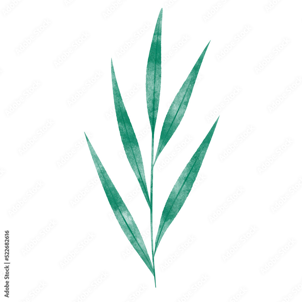 Fototapeta premium leaf in watercolor