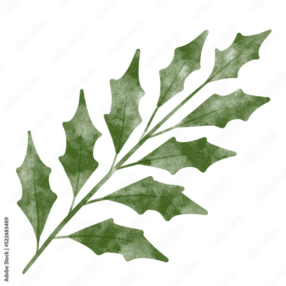 Fototapeta premium leaf in watercolor