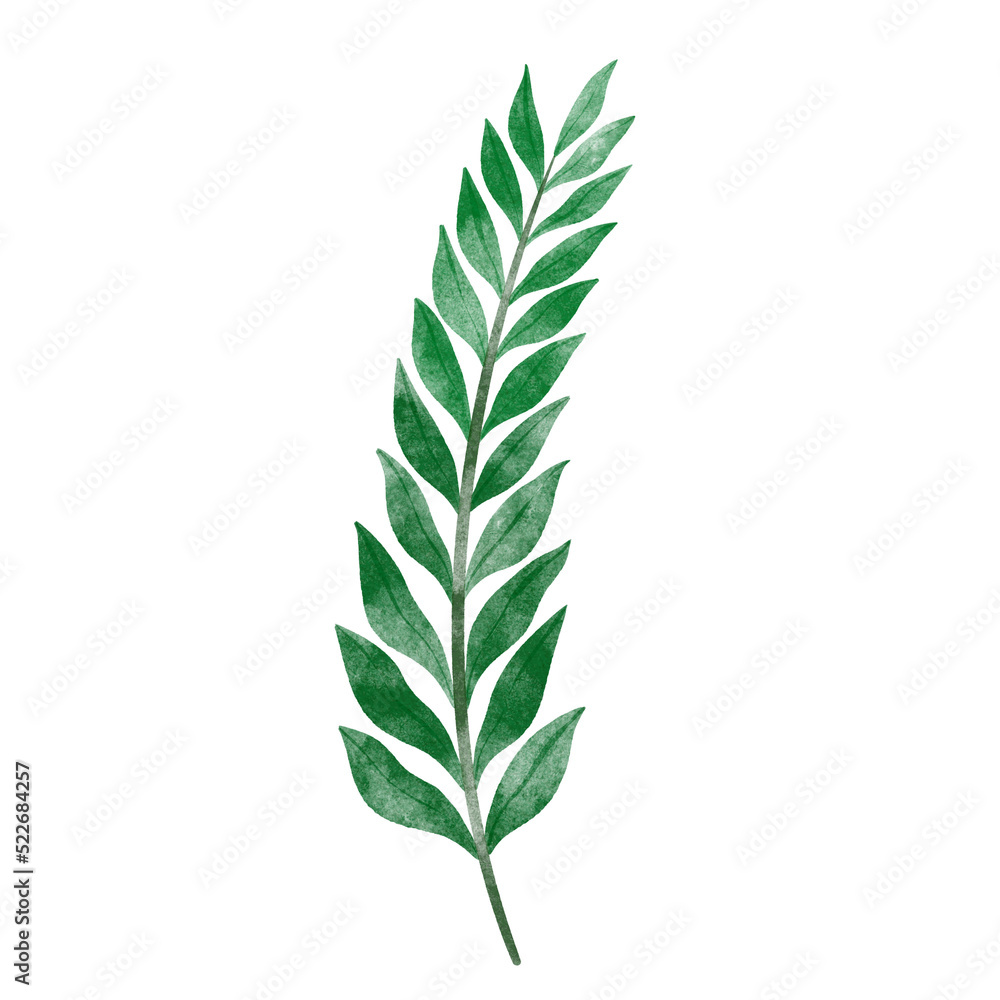 Fototapeta premium leaf in watercolor