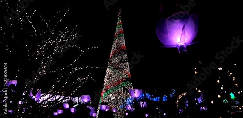 Japan Ashikaga Flower Park Christmas Illumination