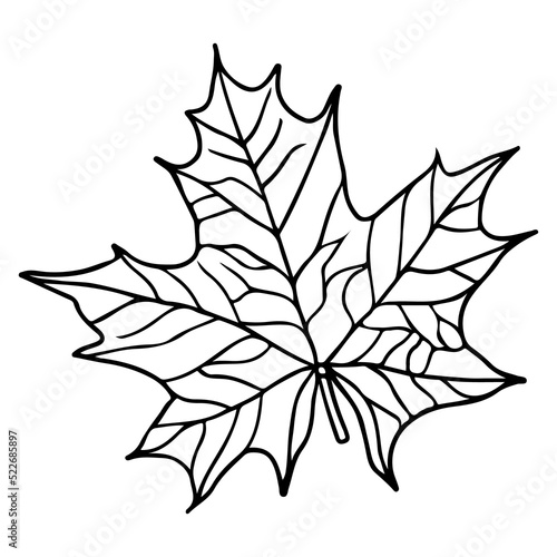 Leaf line art, leaves clipart.