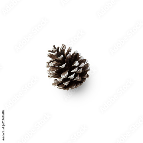 Snow pine cone cutout, Png file.