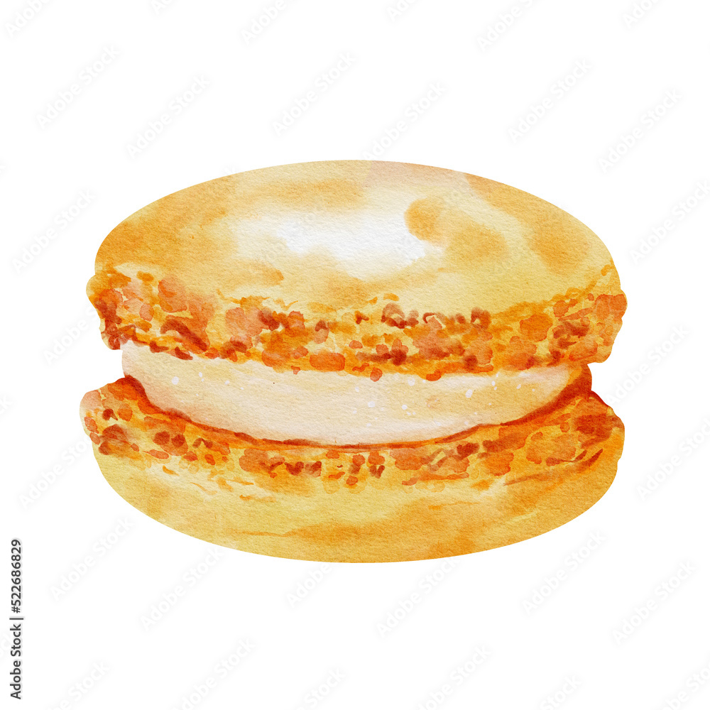 Watercolor macaroons isolated on white background. Hand drawn watercolor illustration Watercolor macaroons isolated on white background. Hand drawn watercolor illustration