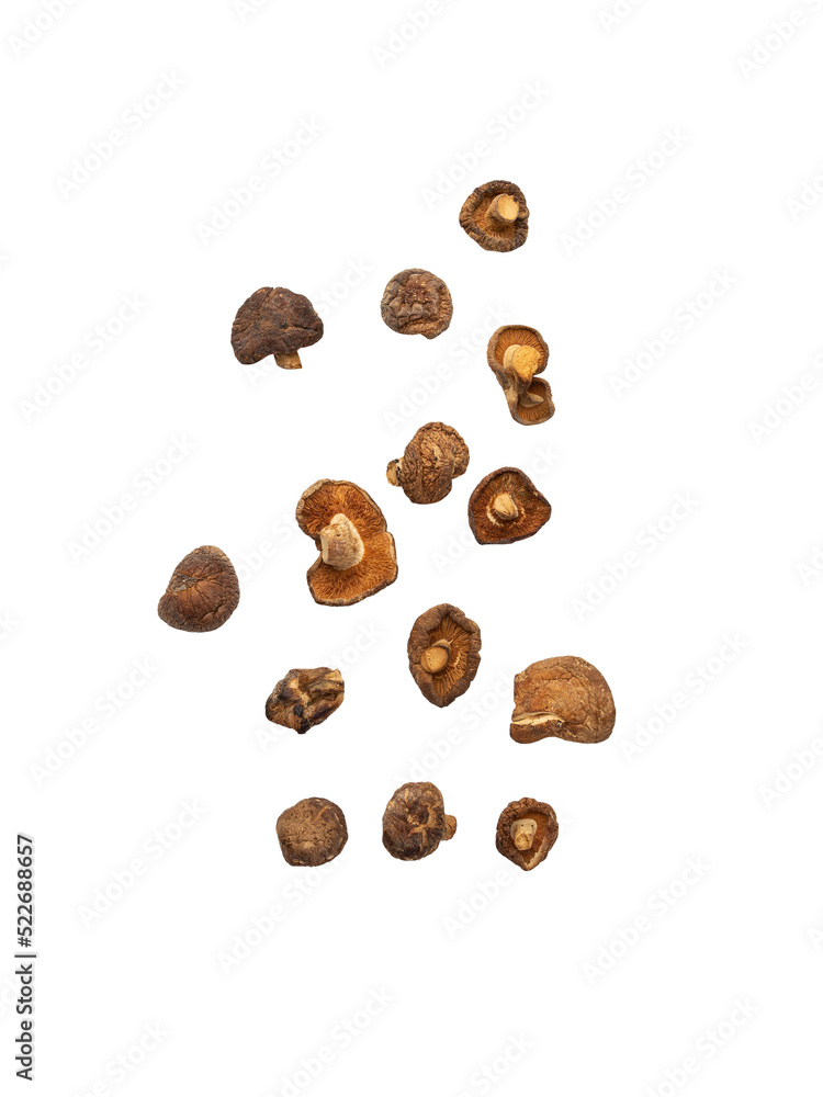 Falling shiitake mushroom cutout, Png file. Falling shiitake mushroom cutout, Png file.