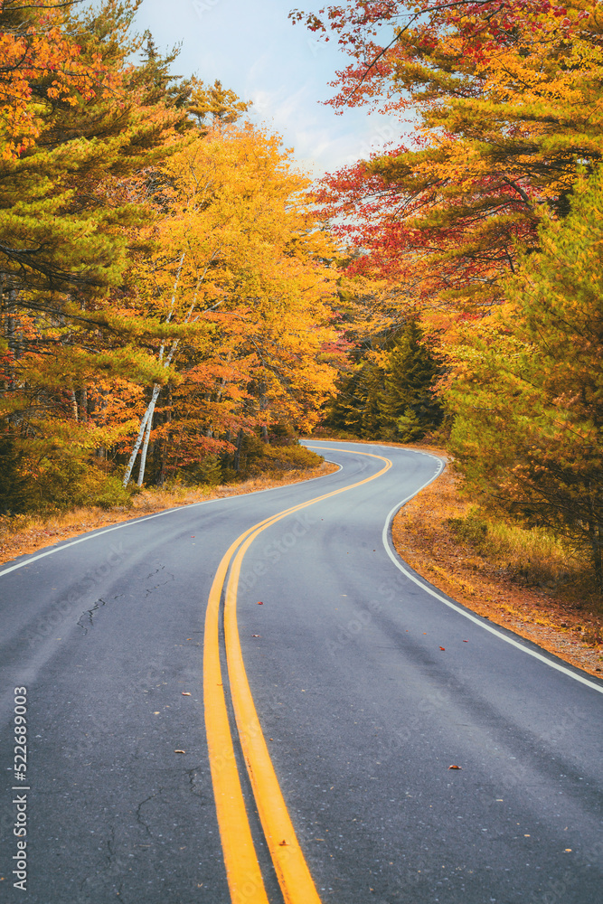 Naklejka premium Winding road curves through scenic autumn foliage trees in New England.