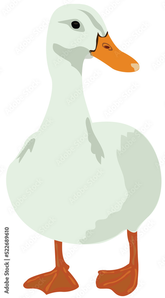 Obraz premium animal illustration