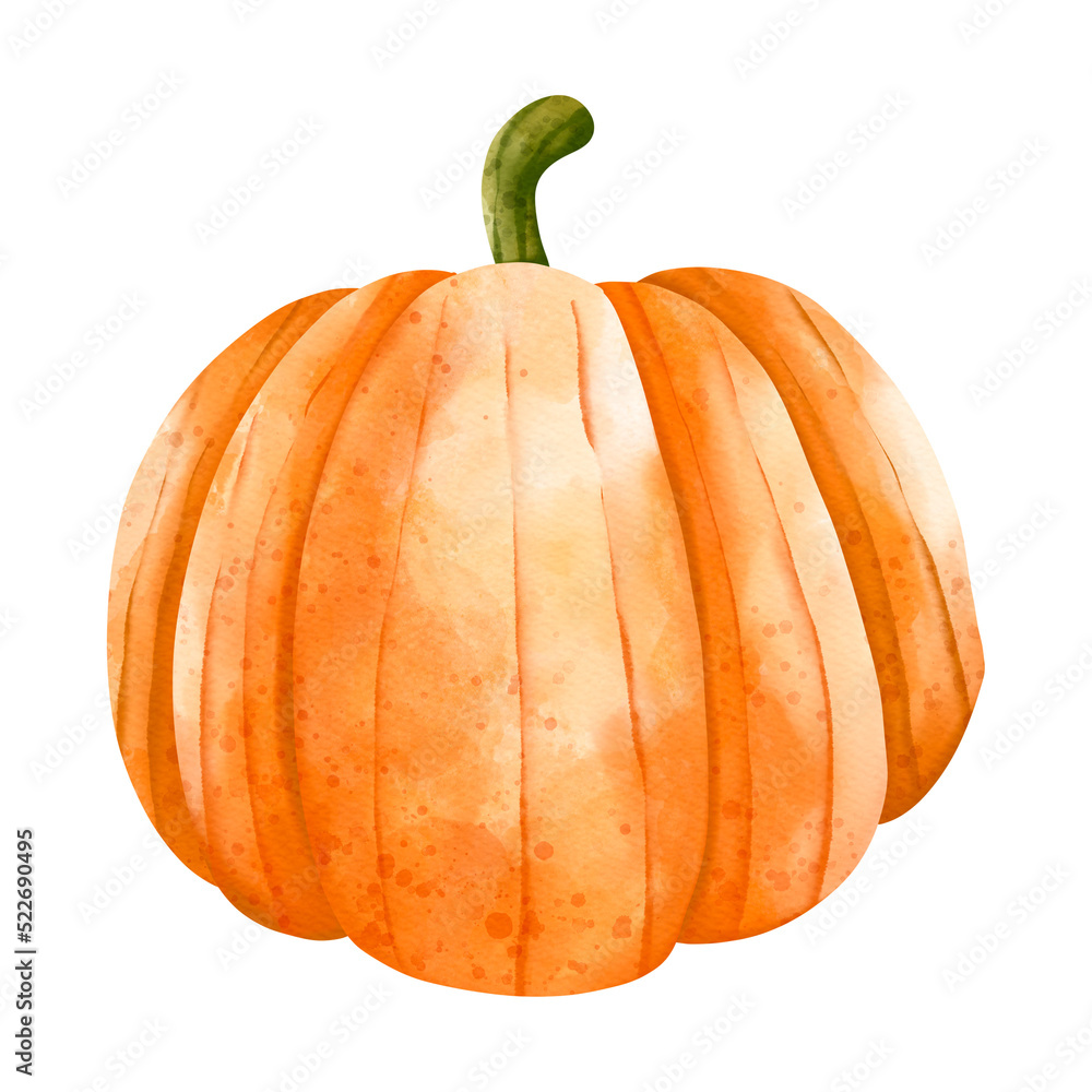 Obraz premium Autumn Watercolor Pumpkin, Autumn or Fall Animal, Watercolor illustration