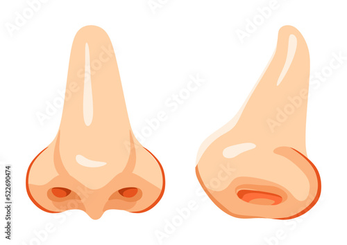 A human nose. Vector isolated image on a white background