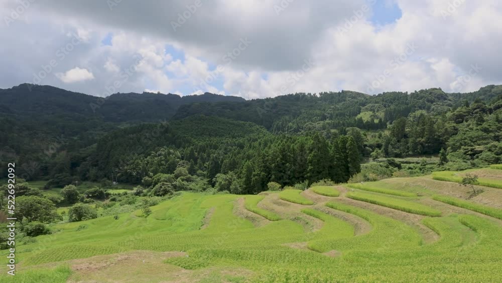 夏の棚田の風景 夏の棚田の風景