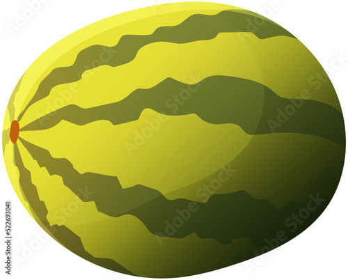 Fresh ripe organic watermelon. Summer sweet juicy fruit illustration isolated on white background. Citron melon berry, ripe tropical or subtropical plant, vegetarian vitamin tasty food, dessert