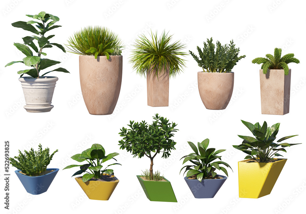 Plants in pots for decoration on a transparent background Plants in pots for decoration on a transparent background