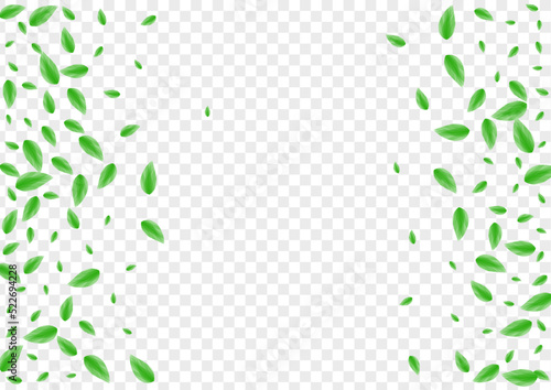 Light Green Plant Background Transparent Vector. Leaf Falling Illustration. Eucalyptus Design. Greenish Figure Texture. Sheet Food.