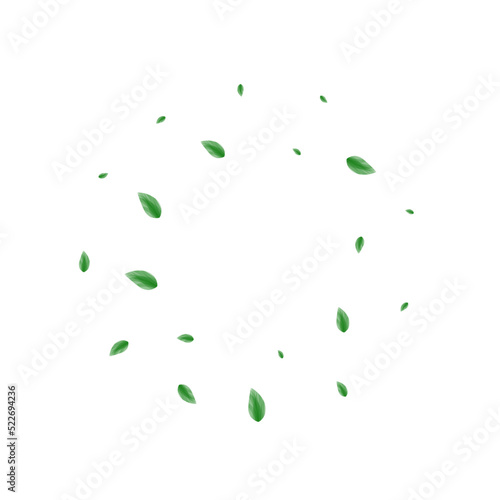Light Green Foliage Background White Vector. Greenery Banner Texture. Clean Design. Greenish Peaceful Illustration. Plant Process.