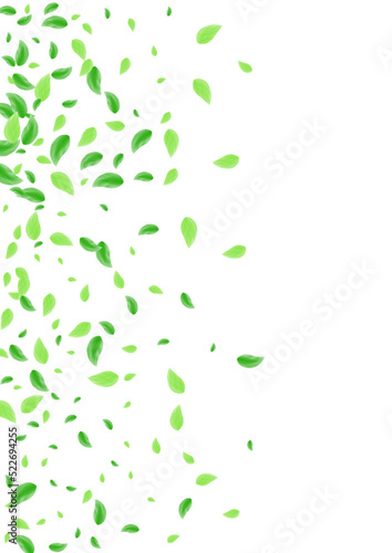 Light Green Leaf Background White Vector. Foliage Growing Illustration. Shape Texture. Greenish Structure Design. Plant Organic.