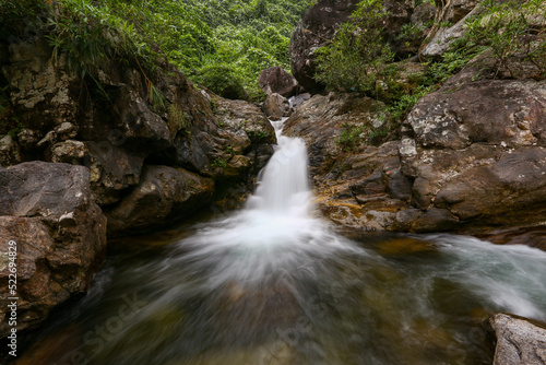 stream in the forest