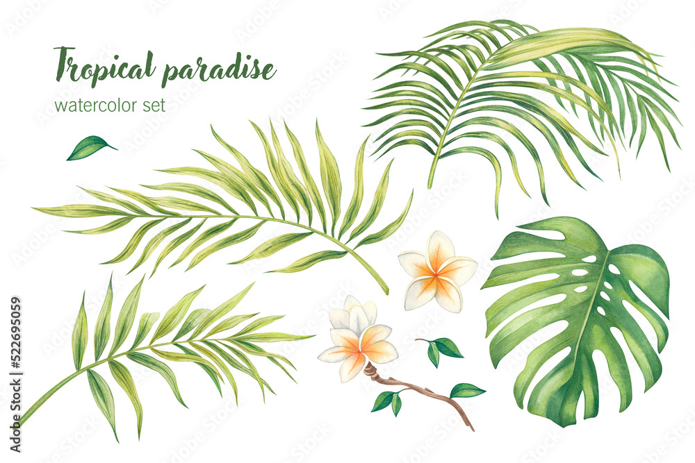 Naklejka premium Watercolor set of tropical leaves, branches and flowers isolated on a white background. Illustration for kitchen design, market, textiles, jewelry, postcards.