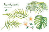 Watercolor set of tropical leaves, branches and flowers isolated on a white background. Illustration for kitchen design, market, textiles, jewelry, postcards.