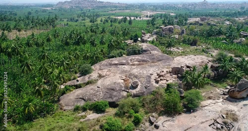 Aerial shot of banana plantations near rocky landscape and coconut trees Aerial shot of banana plantations near rocky landscape and coconut trees