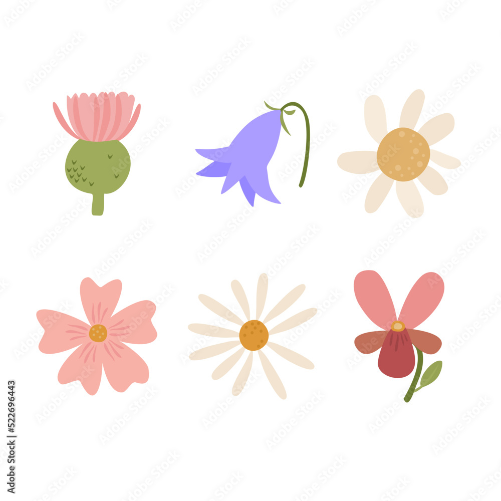 A set of vector inflorescences. Wild wildflowers, cartoon flowers. Chamomile, violet and bellflower