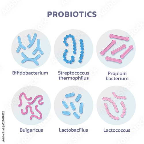 Set of 3d render Probiotic Bacteria Bulgaricus, Lactobacillus, Propionbacterium. Lactococcus, Streptococcus Thermofillus, Bifidobacterium. Vector Illustration