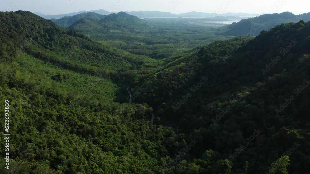 Aerial of rainforest and tropical environment in Koh Yao Noi, Thailand Aerial of rainforest and tropical environment in Koh Yao Noi, Thailand