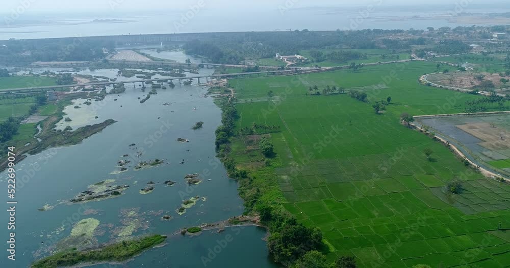 Aerial shot of river with DAM and bridge passing over it, rice fields along Aerial shot of river with DAM and bridge passing over it, rice fields along