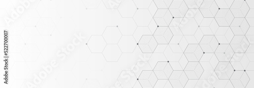 Digital technology background. Abstract hexagons background with black lines and dots. Design for science, medicine or technology
