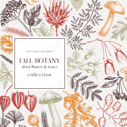 Autumn card or invitation in color. Thanksgiving banner design. Fall wreath with fall leaves and dried flowers. Sketched dried herbs, falling leaves, mushrooms, seeds frame.