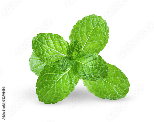 Fresh mint leaves on transparency © supamas