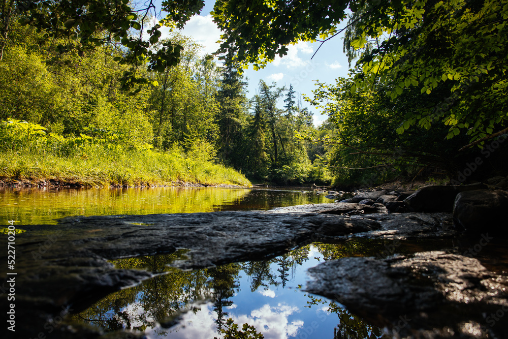 Scenic river in the forest summer Scenic river in the forest summer