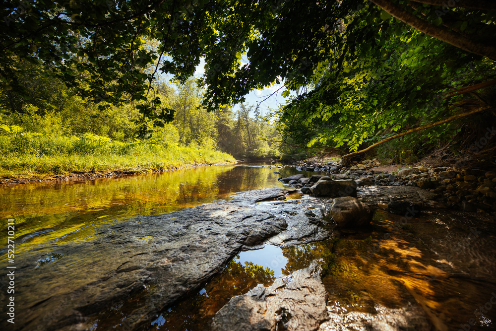 Obraz premium Scenic river in the forest