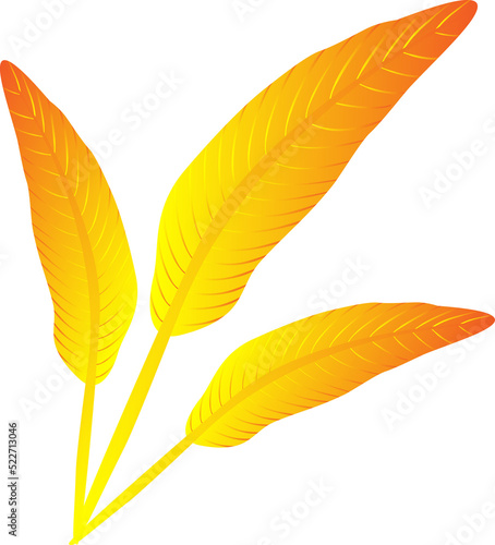 Leaf flower plant elegance ornament decoration background graphic design illustration png