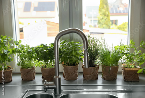 Different aromatic potted herbs on window sill near kitchen sink
