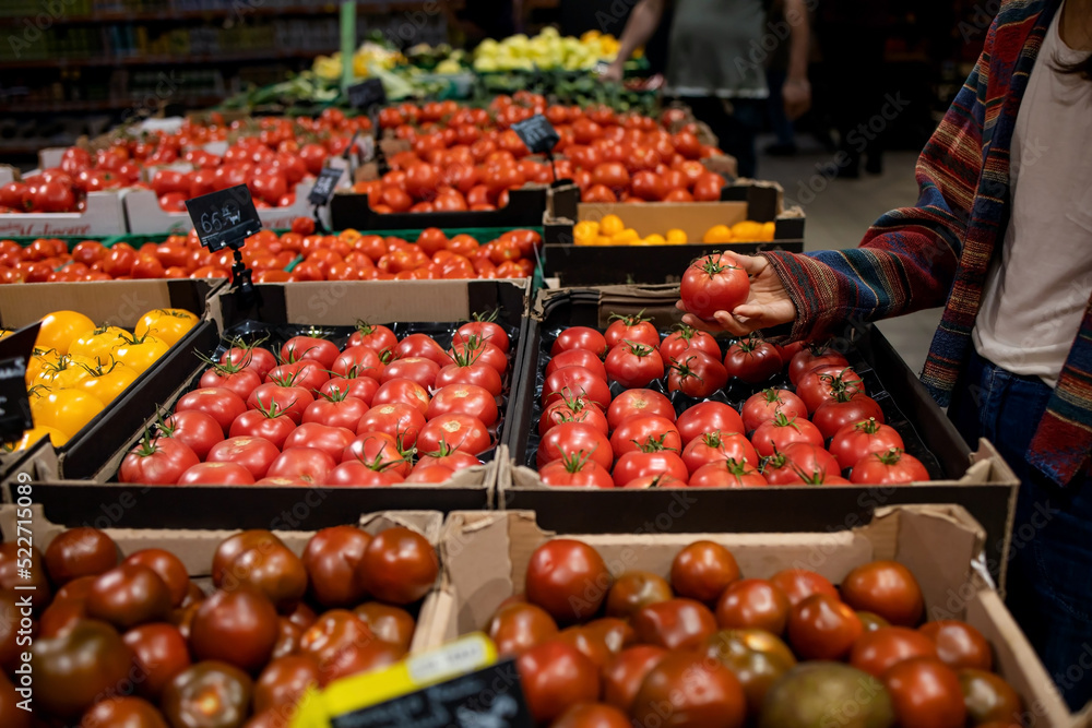 Ripe tomato in hand on blurred background. Choose ripe tomato in market