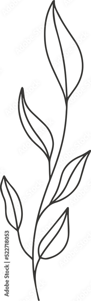 collection forest fern eucalyptus art foliage natural
leaves herbs inline style. Decorative beauty, elegant illustration 
flower Botanical